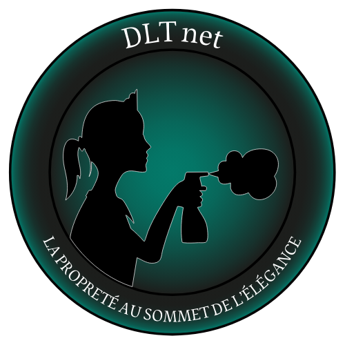 Logo de l'entreprise DLT net